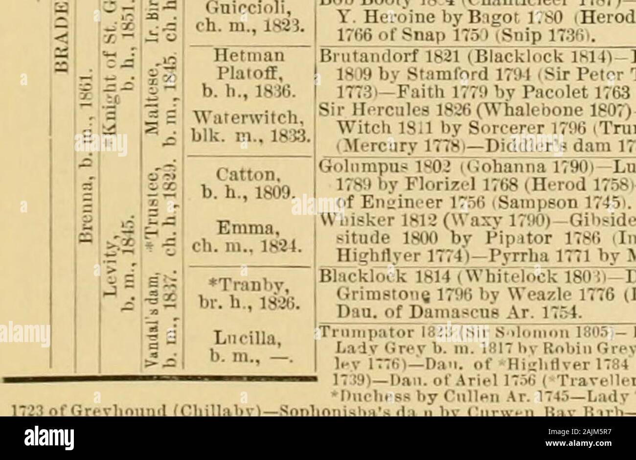 Die vollblut Pferd: seine Herkunft, Rasse und wie [zu] wählen Sie ihn: mit Führung der Pferdezüchter': die Hundert tabelliert Stammbäume der wichtigsten Vererber ... . Andrews 1797) - Web 1808 von Wächsernen 1790 iPot - S-o-s 1773 i-Tnimpator PenelopeI 1798 von 1782 (Dirigent 1767 i-Prunella 1788 von Herodes Highflyer 1774 (17.) 8) - Promi-e 1768 durch Snap 1750 (Snip 1736 Golumpus Gohanna Ii 18,2 (90) - Lucy Grau 1814 von Timothy 1794 (Delpini 1781) - Lucy 1789 durch Florizel 1768 (Herodes 17581 - Frenzy 1774 von Eclipse 1764 (Marske 1750)-Dau. des Ingenieurs 17.^6 (Sampson 1745). Camillus 1803 iHambletonian 1793) - Dan. Stockfoto