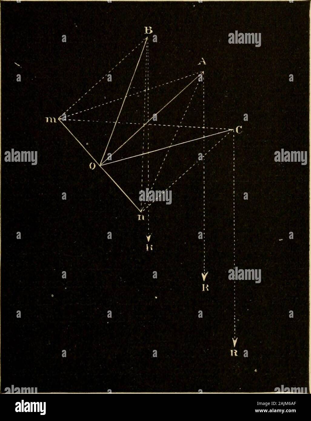 Das Exterieur des Pferdes. al. In dieser Haltung, die ein Punkt der Schönheit andindicates Energie, den Kopf leicht nachhaltig ist, das Tier ist einfach auf thereins und das Bit, und die Bewegungen der Schultern sind kostenlos andextensive (Abb. 32). Mn und OB, für die Veranschaulichung, die Richtungen der theshoulder und der Hals. Die extensor Muskeln und themastoido - humeralis wird schematisch durch die Linien Bmand Bn vertreten sein. Die letztere, wird es deutlich gesehen werden, hat eine considerablelength und somit eine größere Amplitude der Kontraktion zu erhöhen - thescapulo Oberarmkopf Stockfoto