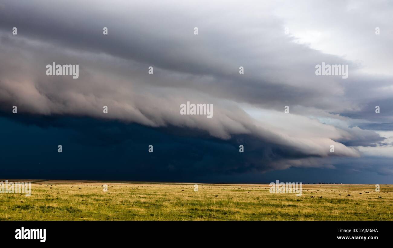 Eine dramatische Shelf cloud Führt eine kommende schwere Gewitter über die hügelige Grasland des südöstlichen Colorado. Stockfoto