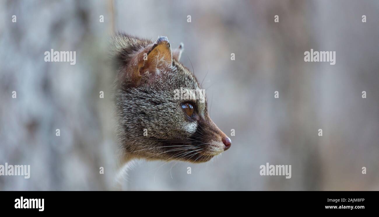 Stockfotografie Alamy