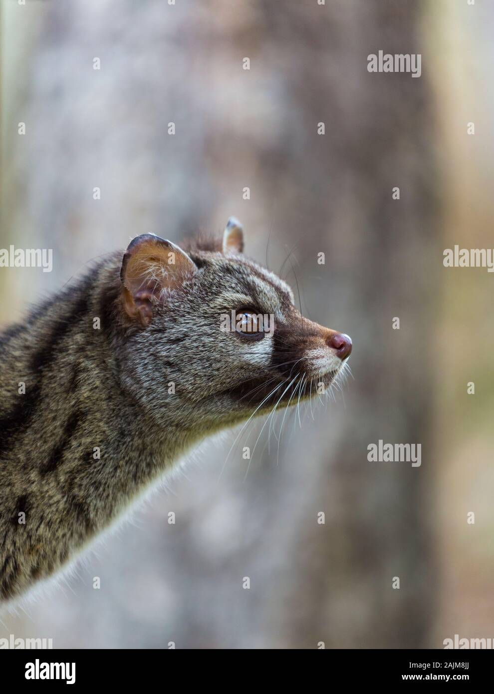 Stockfotografie Alamy