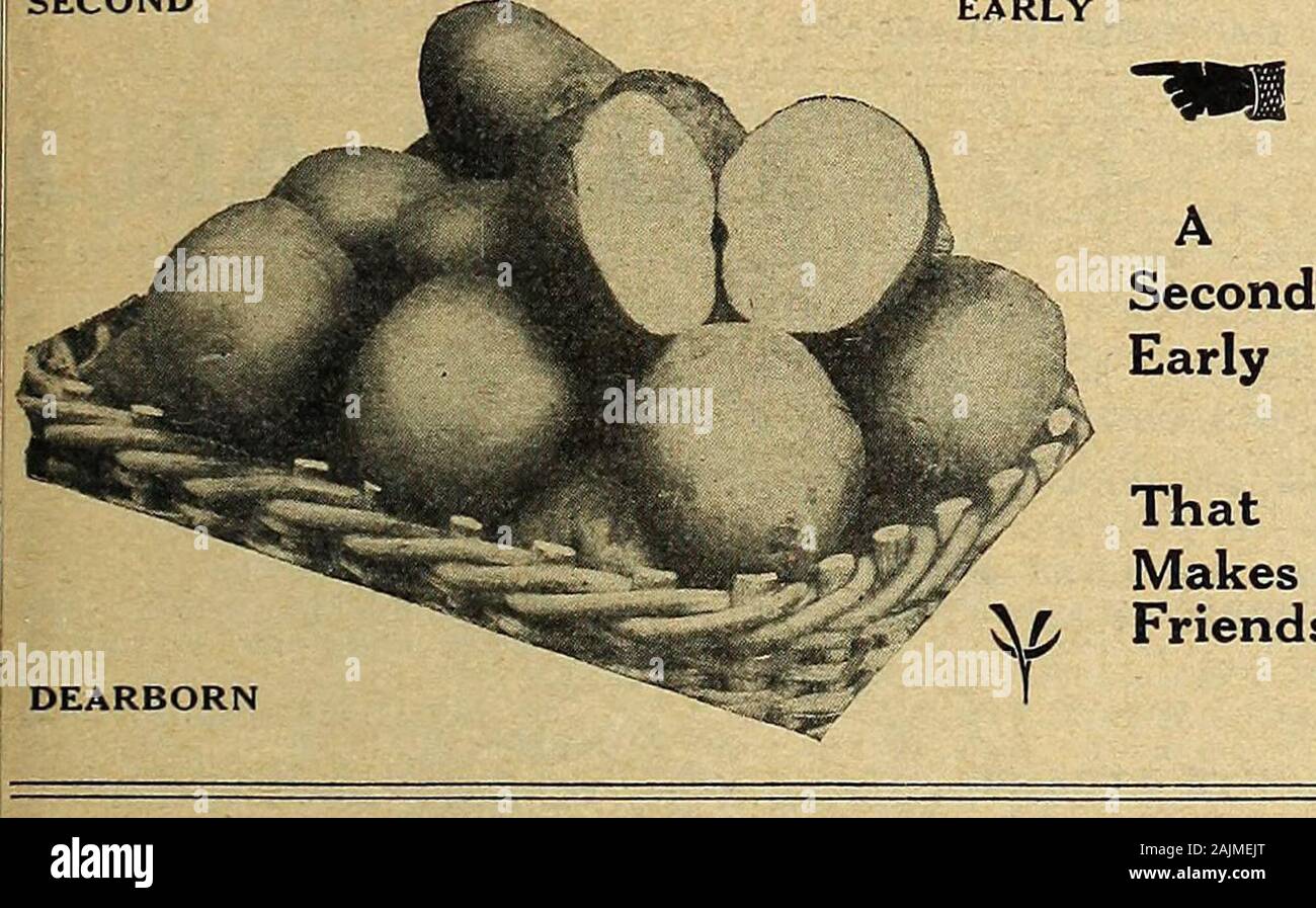 Vaughan Same Store. nd es notwendig zu einem growingdemand Für mehr Frühe Kartoffeln wir diese Art als amoney - Hersteller und Handel - Sieger Lob gerecht zu werden. Unser Saatgut wird in Rot RiverValley, Minn gewachsen und ist als andere Belastungen an anderer Stelle gewachsen. Y2PK. 45 c; Pk. 75 c; Ys bu. $ 1,35; Bu. $ 2,65; 100 Pfund $ 4,40; 500 kg bei $ 4,00 pro 100 Pfund ACME. Eine Kartoffel des Ohio Art, in der Tat, ähnlich thatvariety, wie es jetzt im Nordwesten gewachsen ist. In der Regel runsearlier als die alte Art des frühen Ohio und ist reicher. Herrliche sowohl für den Amateur- und Gärten. y2PK., 45 c; Pk., 75 c; Y bu., $ 1,30; Bu., $ 2. Stockfoto