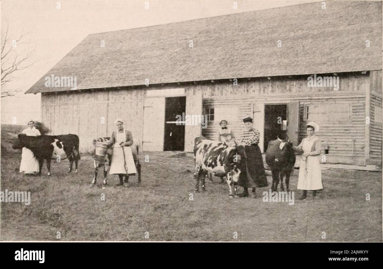 Schwedische Frauen Stockfotos Und Bilder Kaufen Alamy
