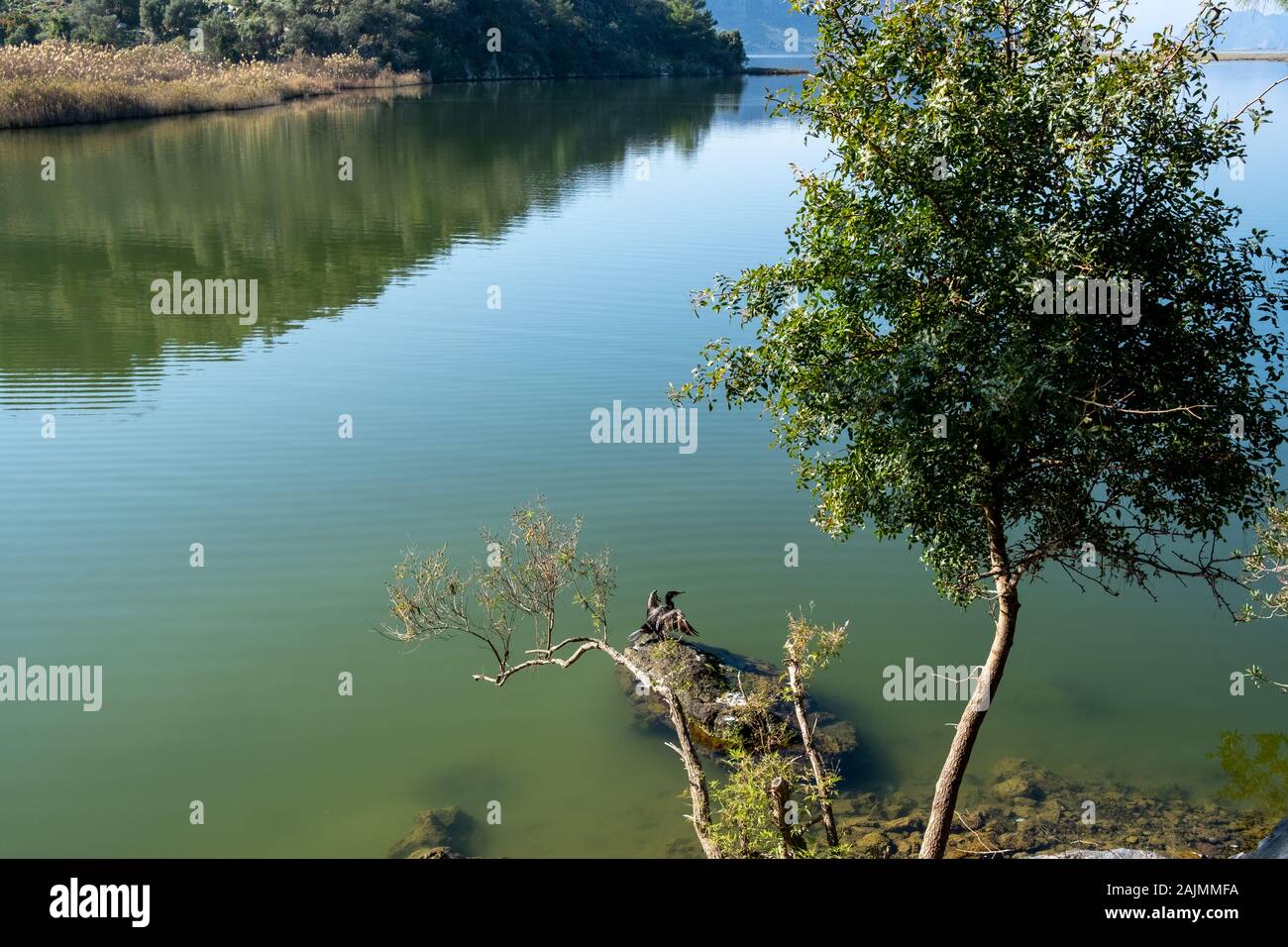 Region Dalyan mit interessanten geografischen Merkmalen in Mugla, Türkei Stockfoto