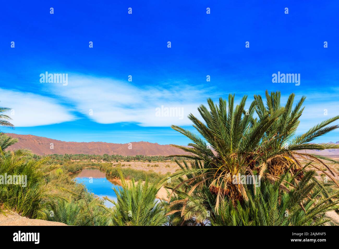 Blick auf die Landschaft des Flusses Draa, Marokko. Kopieren Sie Platz für Text Stockfoto