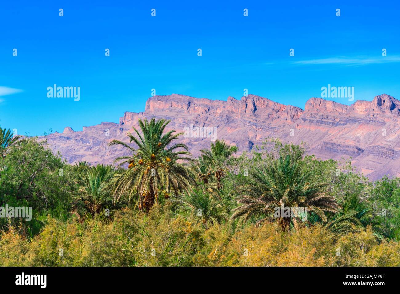 Berglandschaft Draa Tal Oasis, Marokko Stockfoto