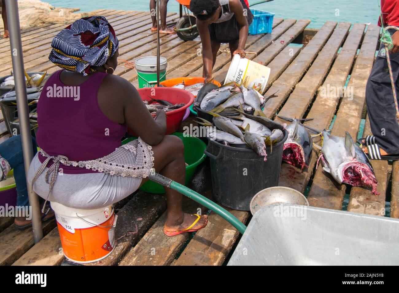 República de Cabo Verde, Kapverdische Insel Frau sitzt und verkauft frischen Fisch in Santa Maria Pontoon. Frisch gefischter Fisch auf dem Markt ausgesetzt. Stockfoto