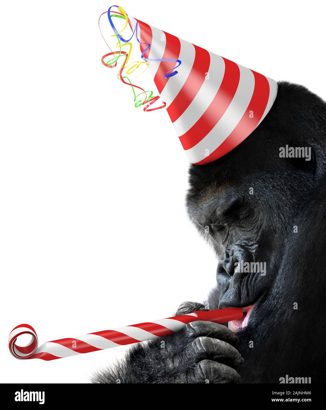 Gorilla Partylöwe mit einem gestreiften Geburtstag hat und krachmacher Horn Stockfoto