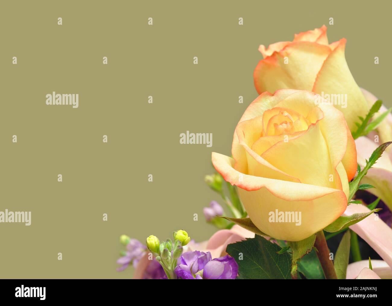 Cremefarbene rose Blumen Blumenschmuck Hochzeitssuite Stockfoto