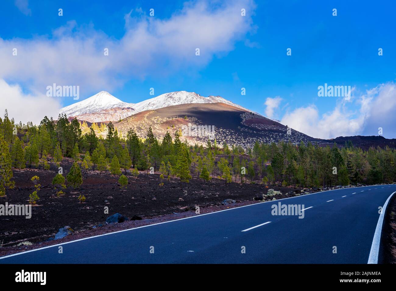 Spanien, Teneriffa, Straße durch chinyero Chinyero bäume wald natur landschaft und schwarze Lava mit Nebel Wolken und weißen, schneebedeckten Gipfel des Vulkan Stockfoto