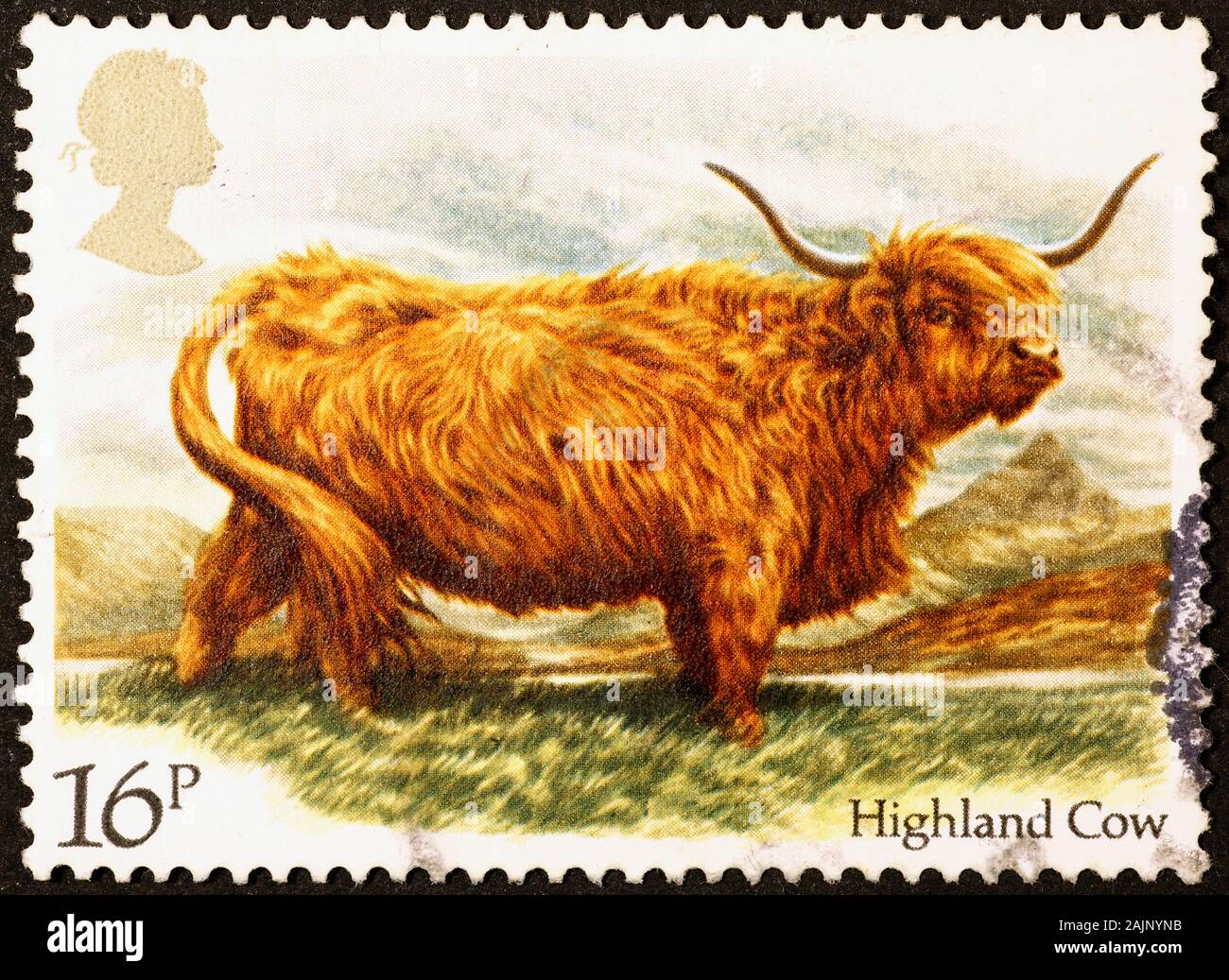 Highland Kuh auf britischen Briefmarken Stockfoto