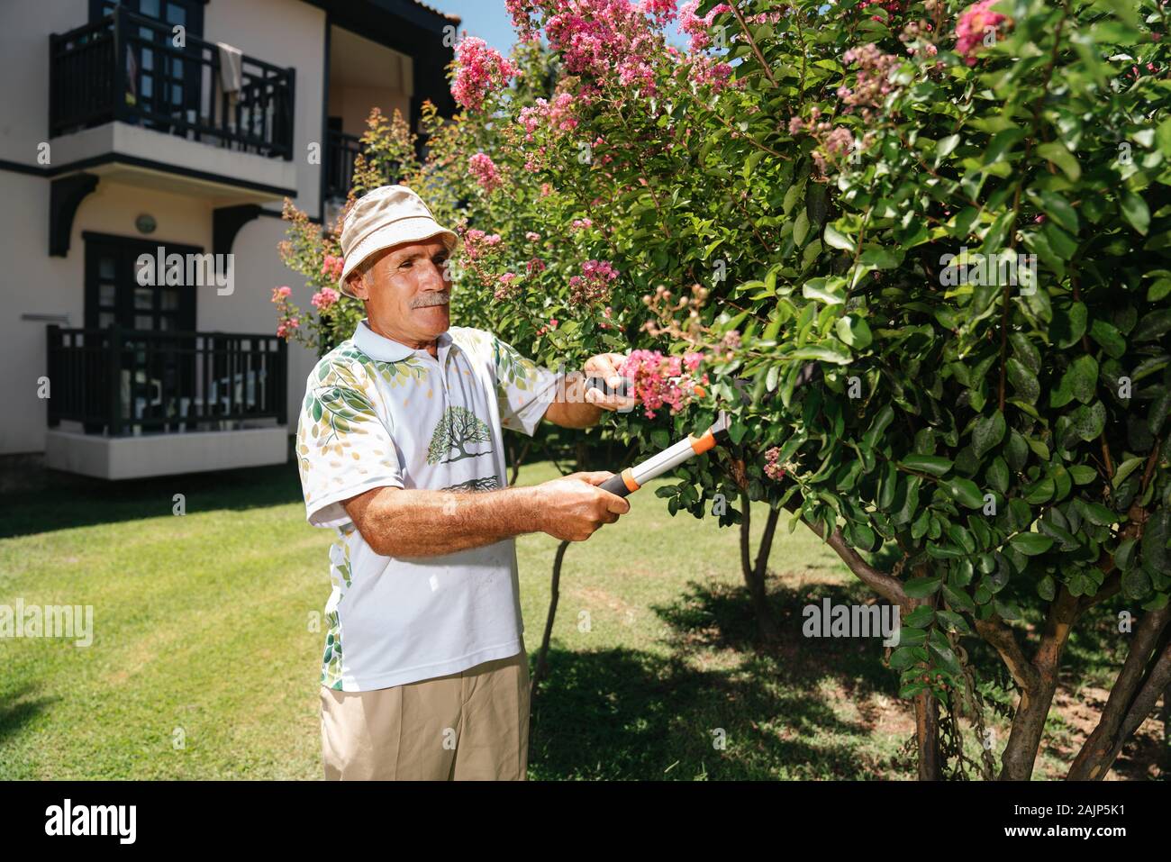 Erfahrene Gärtner ist Trimmen Garten pflanzen. Den professionellen Gartenbau. Stockfoto