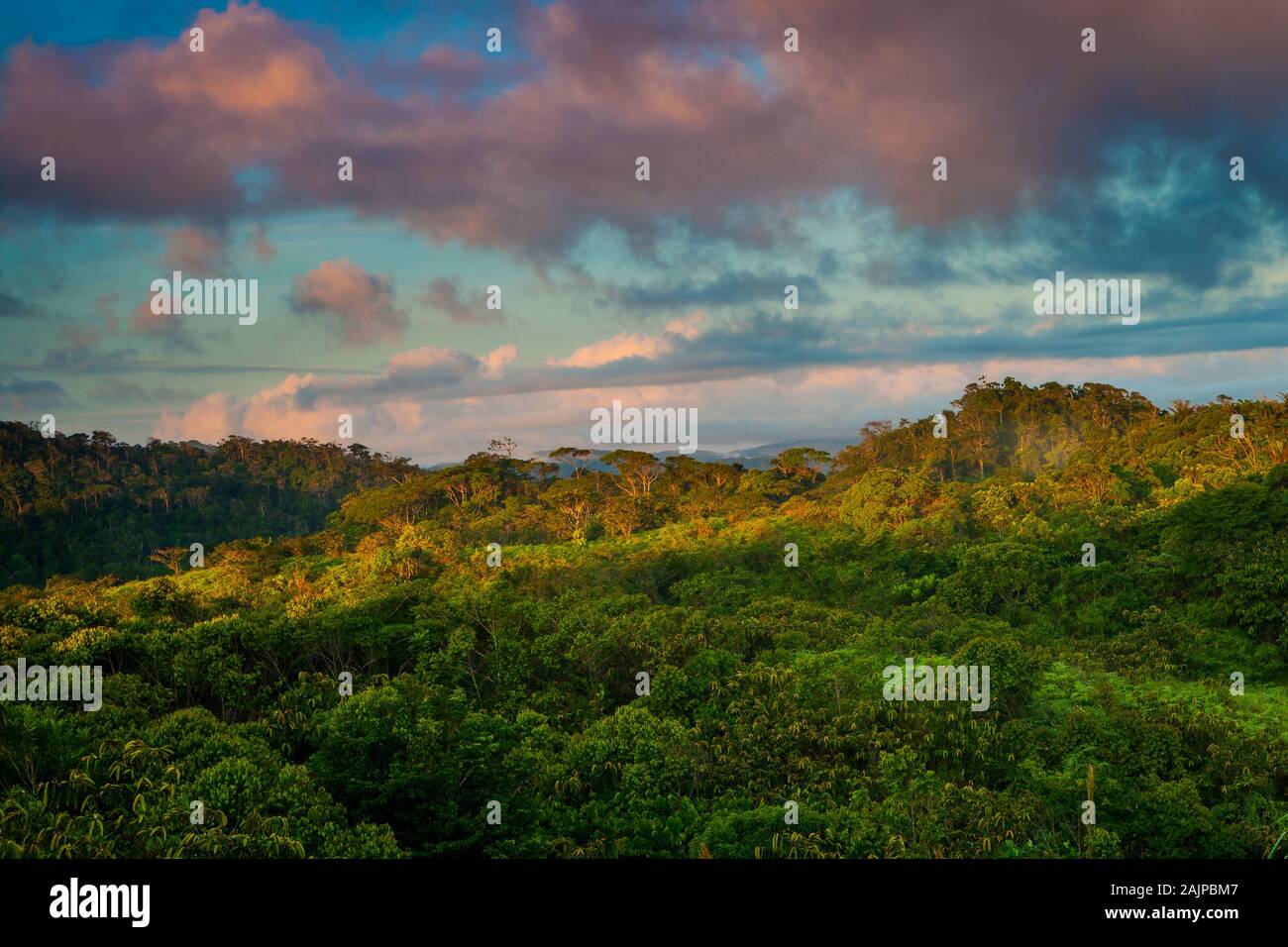 Panama-Landschaft im frühen Morgenlicht in Garduk in der Wildnis Narganas, Comarca Guna Yala, Republik Panama. Stockfoto