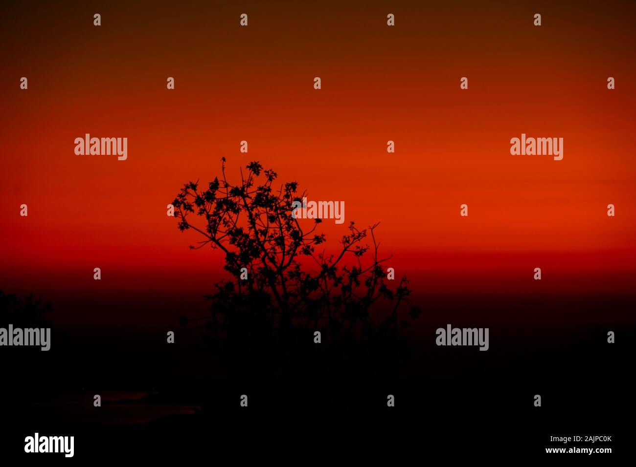 Erstaunlich, atemberaubende rote und schwarze Sonnenuntergang mit einer Silhouette eines Baumes im Vordergrund. Auf der Insel Kefalonia, Ionische Meer, Sounds fotografiert. Stockfoto