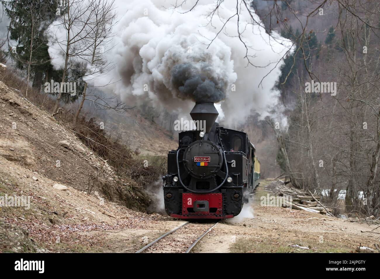 Mocanita, der dampfzug aus Maramures, Rumänien. Stockfoto