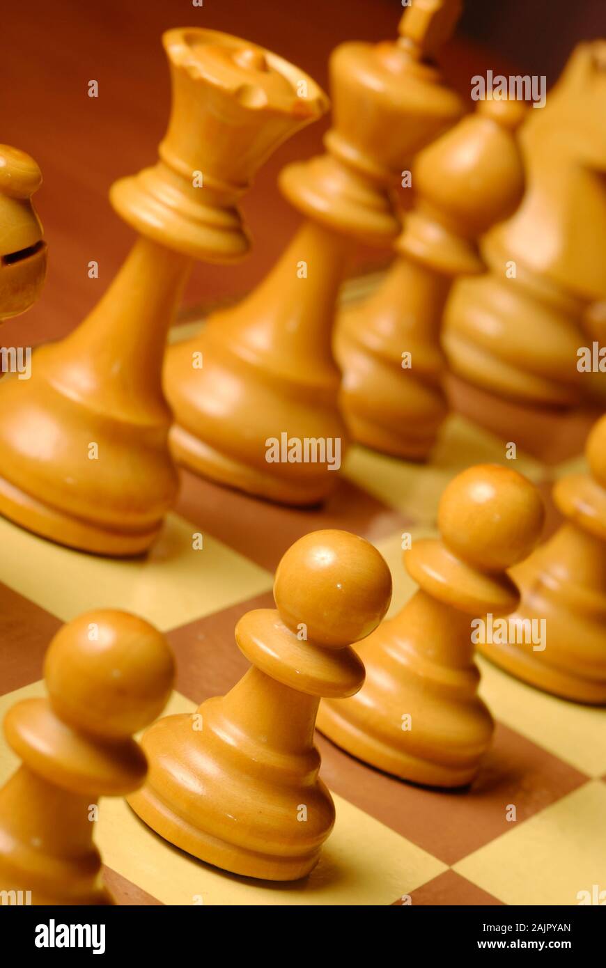 Detail der Schachfiguren auf dem Brett zu Beginn des Spiels Stockfoto