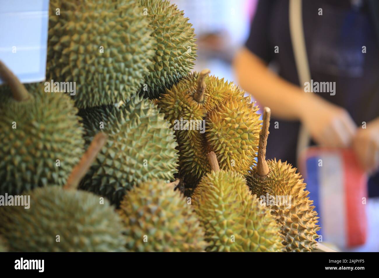 Durian in Thailand, Obstmarkt, Muang Mai Stockfoto