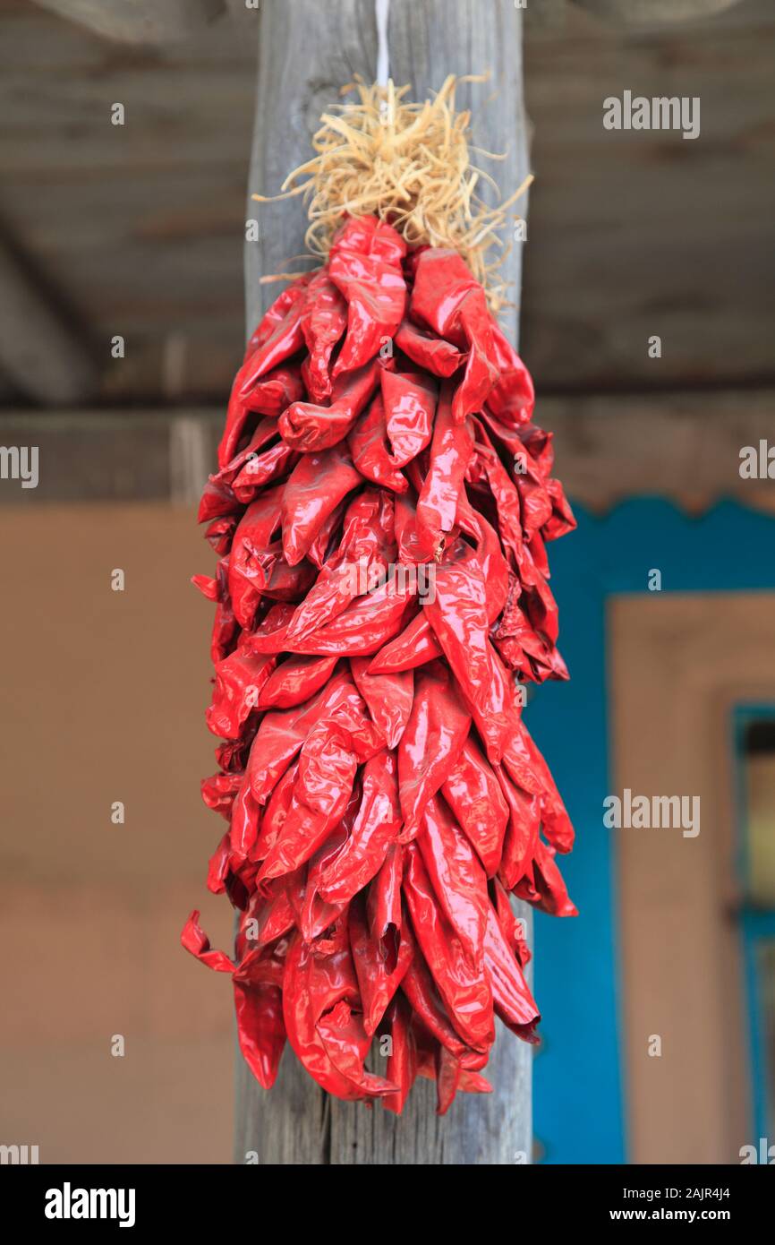 Getrocknete Chilis, Chili Ristras, Altstadt, Albuquerque, New Mexico, USA Stockfoto