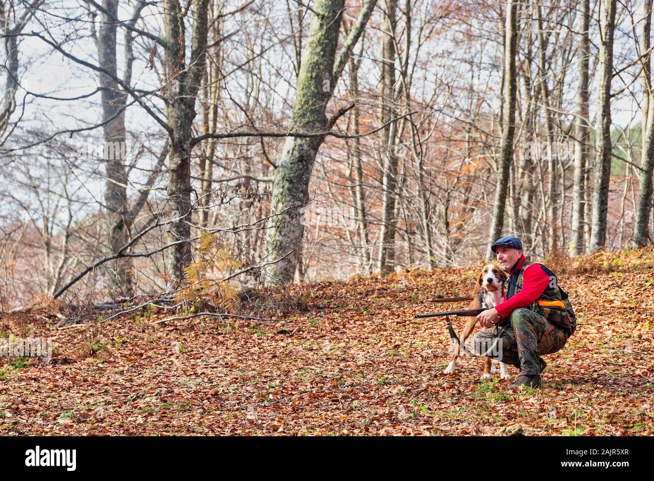 Jäger mit Waffe Jagd und Hund jagen im Wald Stockfoto