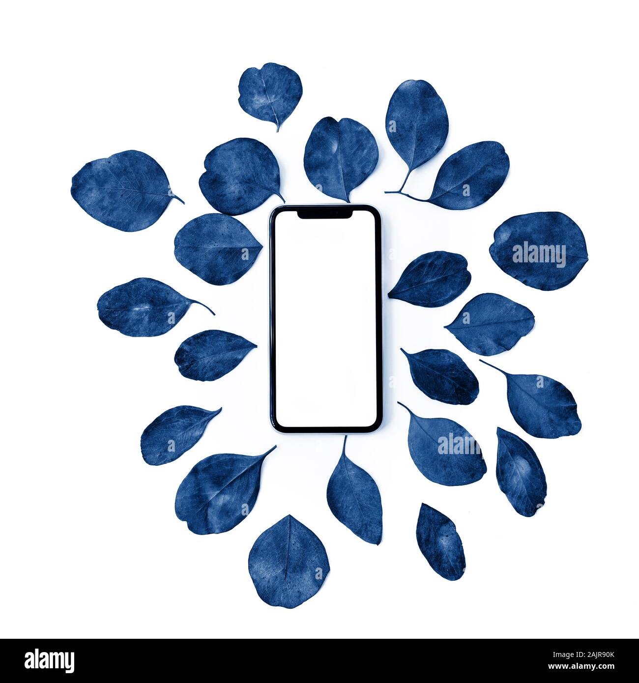 Festliche Blumen flach Zusammensetzung Handy mit leerer Bildschirm und bunten Eukalyptus Blätter auf weißem Hintergrund, Ansicht von oben. Stockfoto