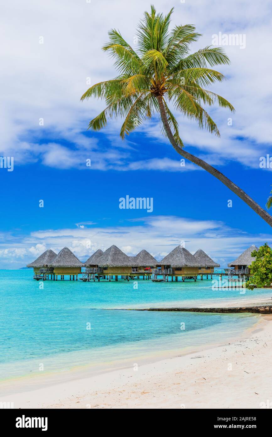 Bungalows über dem Wasser von tropischem Resort, Bora Bora Island, in der Nähe von Tahiti, Französisch Polynesien. Stockfoto