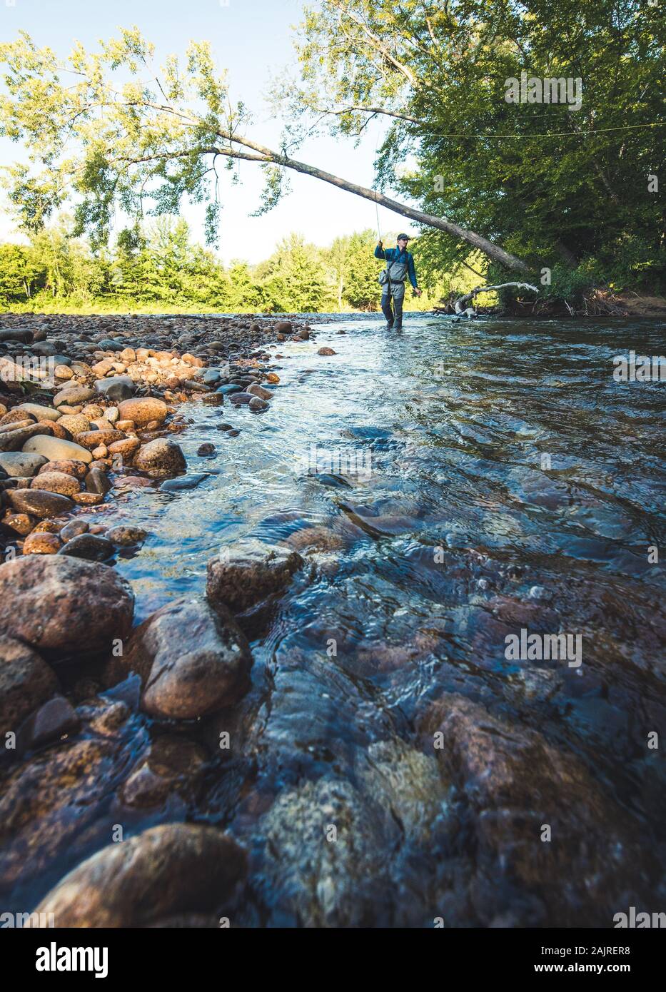 Man Fliegenfischen auf dem Saco River in North Conway, NH Stockfoto
