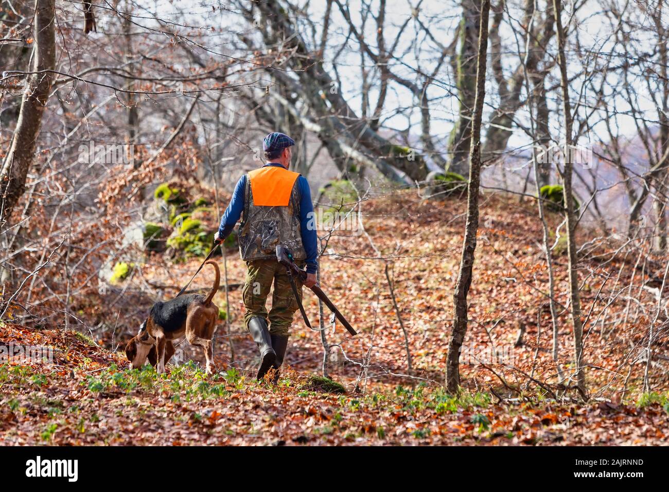 Jäger mit Waffe Jagd und Hund jagen im Wald Stockfoto