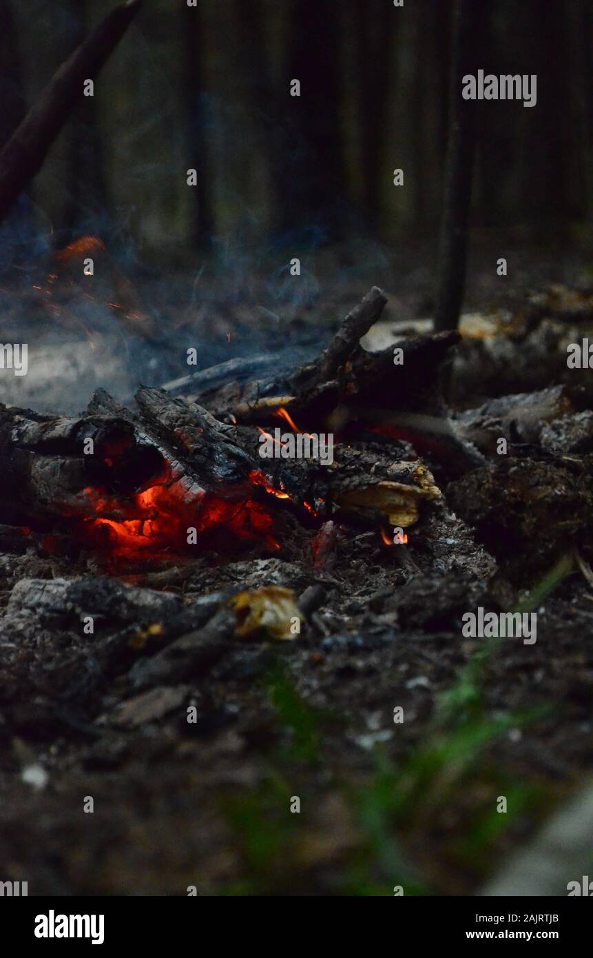 Glühende Kohlen leuchtend rote Farbe. Rauch über den Kohlen. Heiße Kohlen brennen mit Holz. Der glühende Kohlen in den Wald. Stockfoto