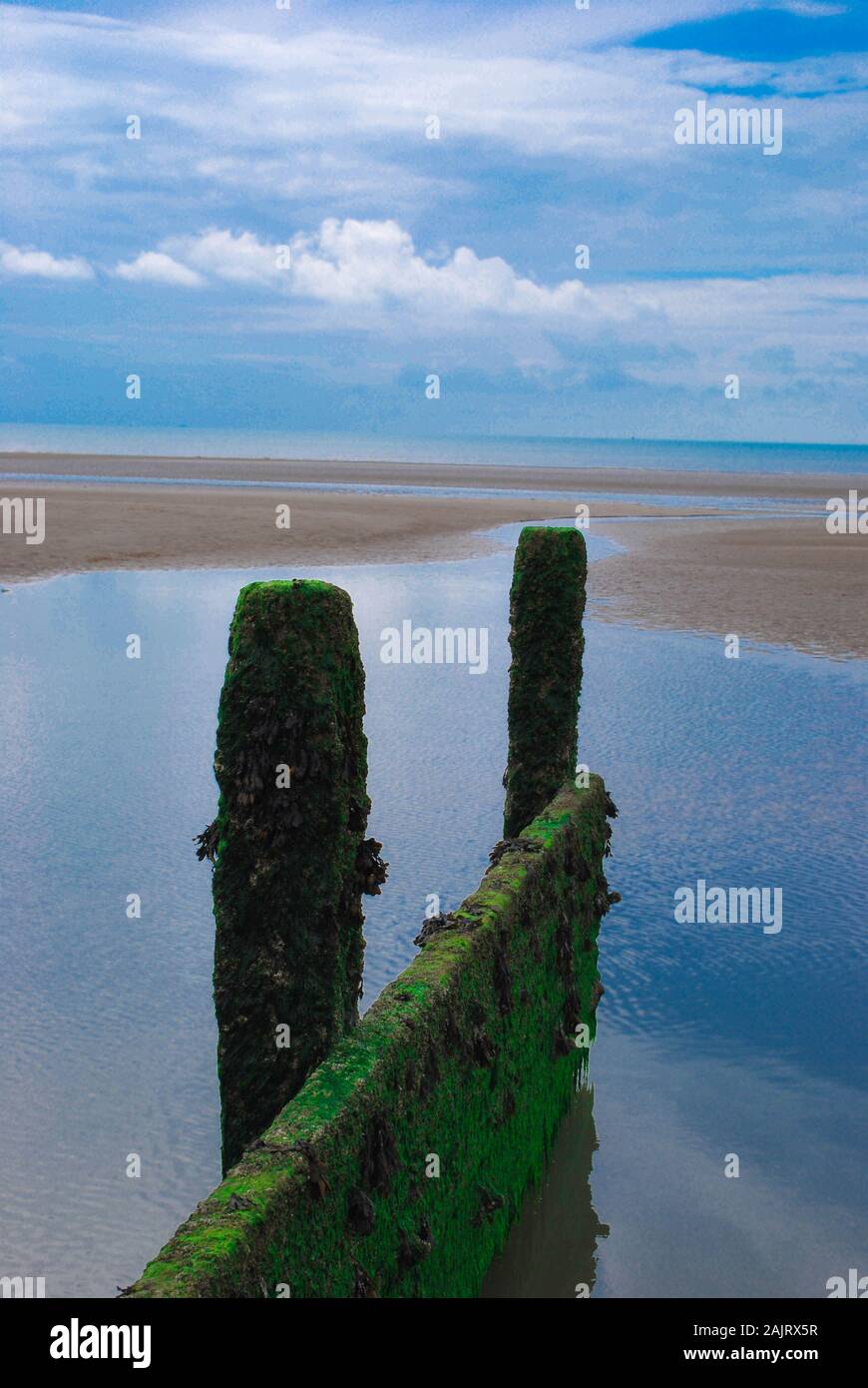 Überreste einer alten groynen Meeresverteidigung in Kambersanden, kent UK Stockfoto