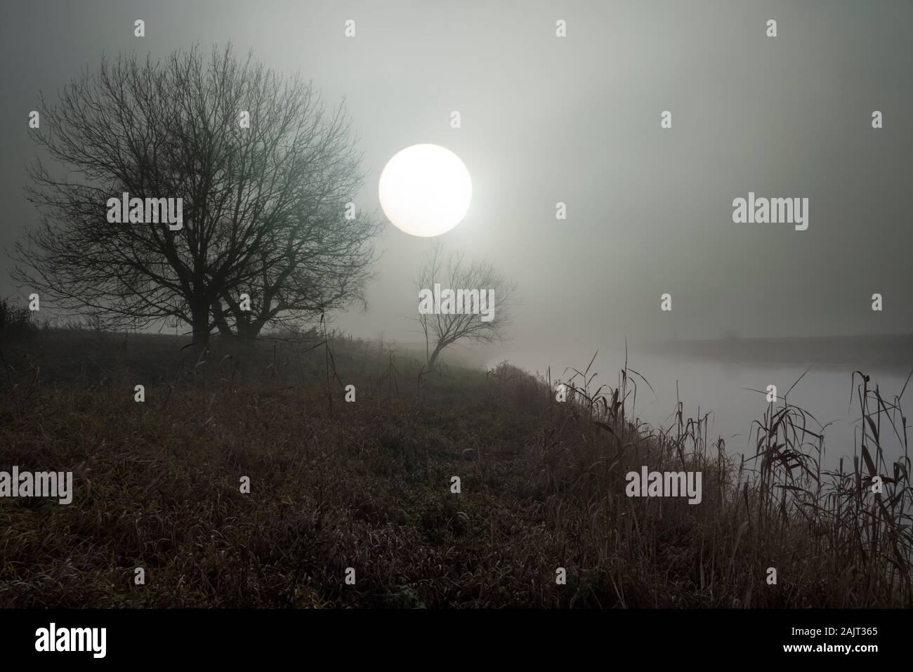 Neblige Landschaft, Oberweser, Wesertal, Weserbergland, Nordrhein-Westfalen, Hessen, Deutschland Stockfoto
