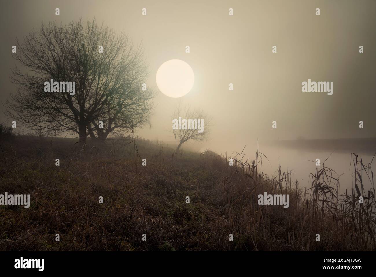 Neblige Landschaft, Oberweser, Wesertal, Weserbergland, Nordrhein-Westfalen, Hessen, Deutschland Stockfoto
