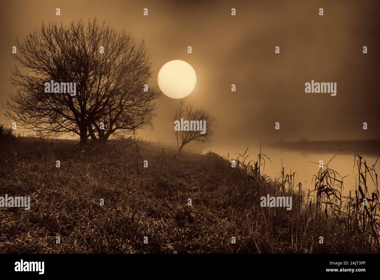 Neblige Landschaft, Oberweser, Wesertal, Weserbergland, Nordrhein-Westfalen, Hessen, Deutschland Stockfoto