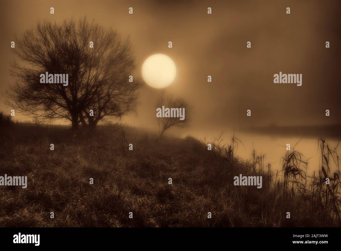 Neblige Landschaft, Oberweser, Wesertal, Weserbergland, Nordrhein-Westfalen, Hessen, Deutschland Stockfoto