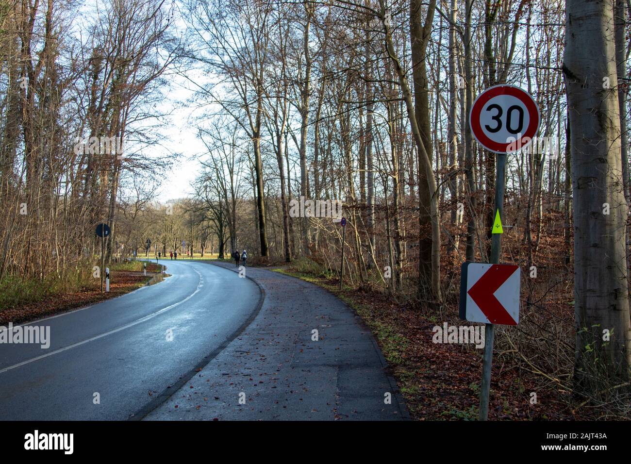 Kurve eines Landes Straße in den Wald mit Höchstgeschwindigkeit Zeichen, 30 kmh Stockfoto