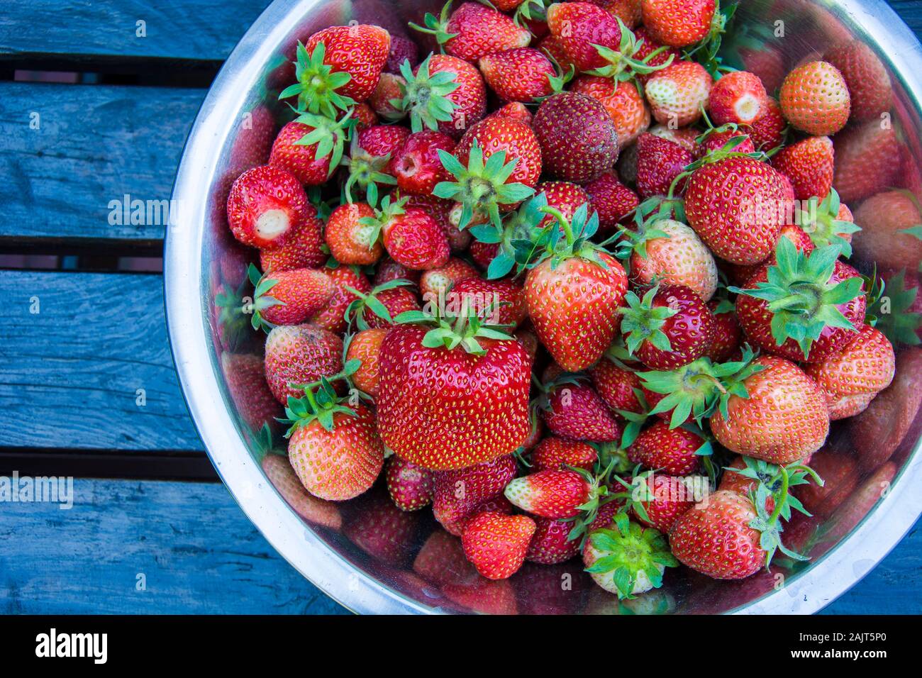 Geerntet frische Erdbeeren in eine Schüssel Stockfoto