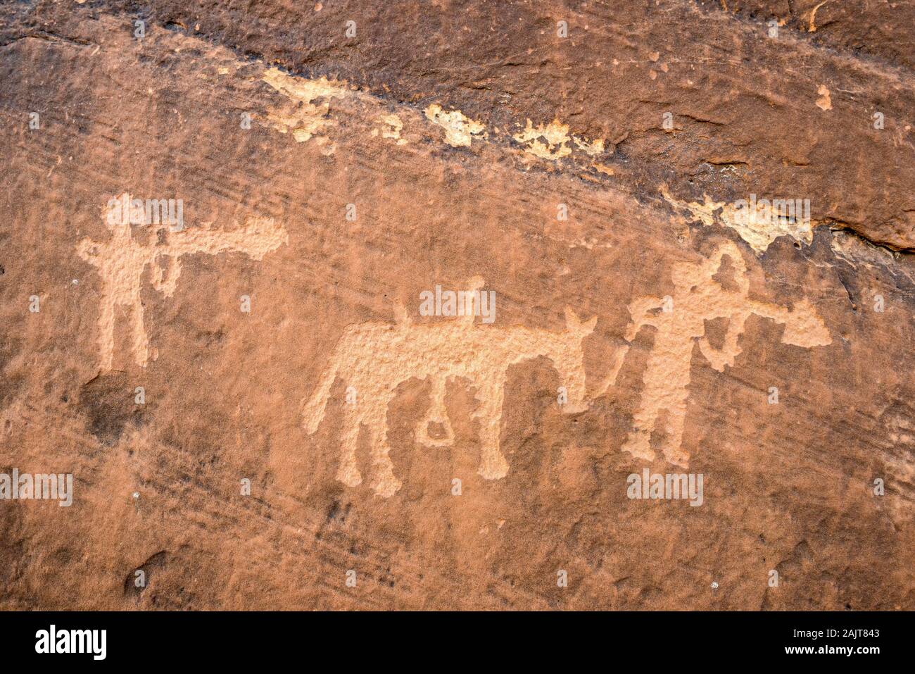 Petroglyphen, Bären Ohren National Monument in Utah. Stockfoto