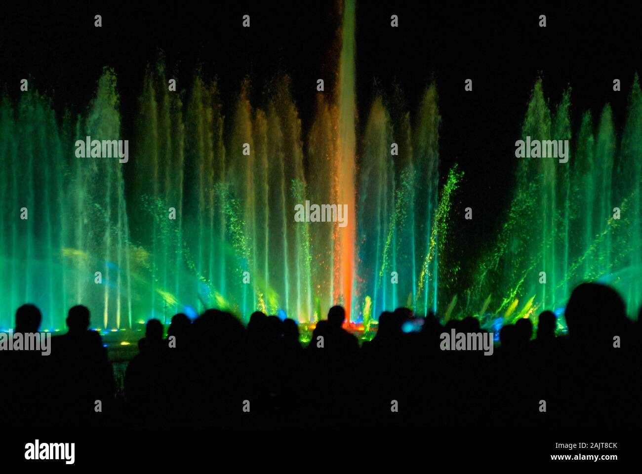 Wasser Licht Konzert im Hamburger Park "Planten un Blomen Stockfotografie -  Alamy