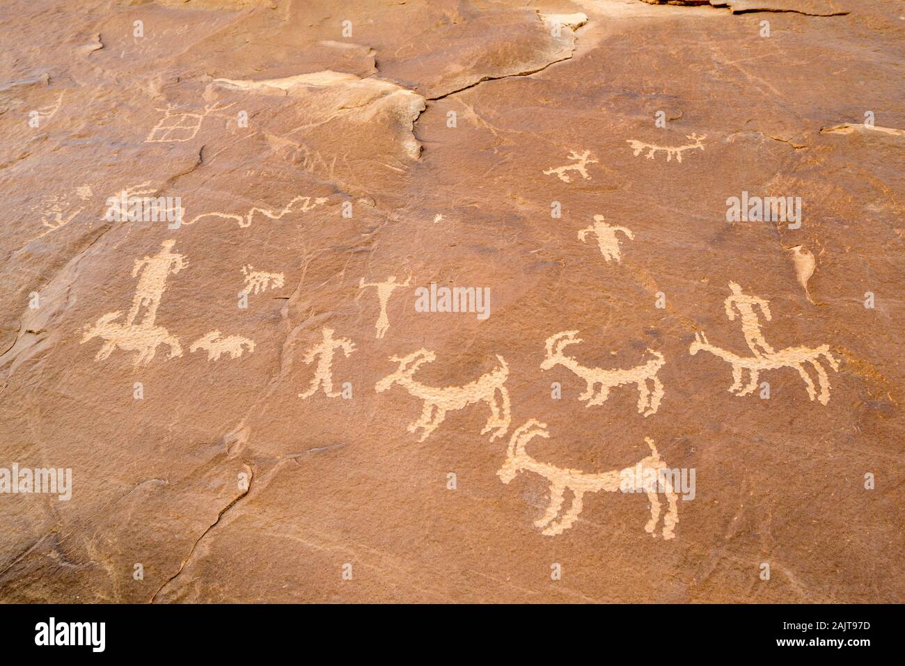 Petroglyphen, Bären Ohren National Monument in Utah. Stockfoto