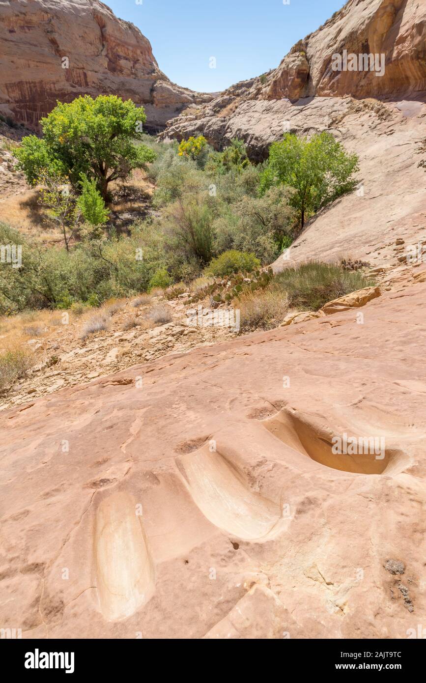 Matates in eine Schlucht im südlichen Utah. Matates wurden von den Einheimischen der Körner und andere Materialien zu Schleifen verwendet. Stockfoto