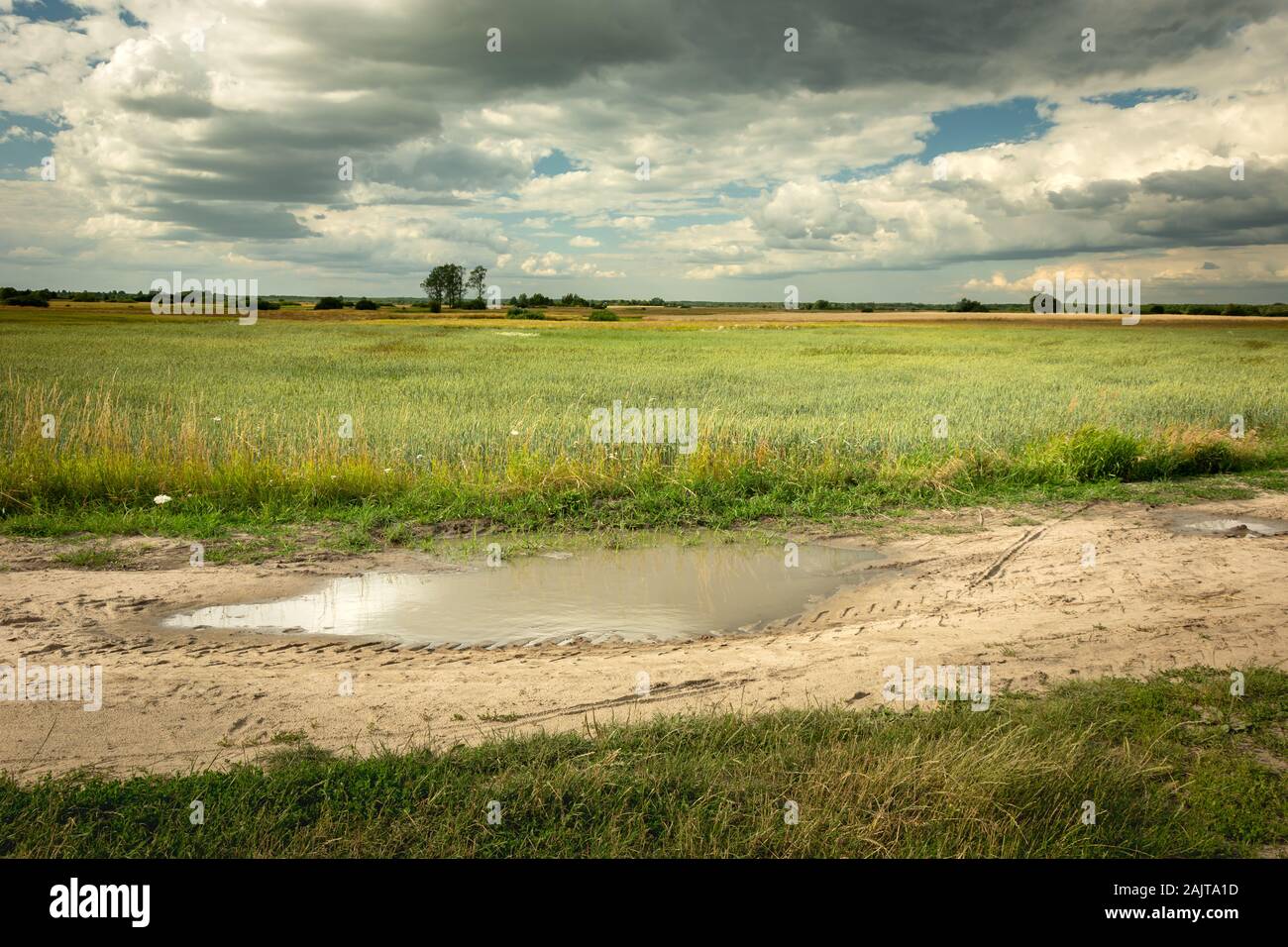 Pfütze auf einem Sandweg, grüne Wiese, Horizont und graue Wolken am Himmel Stockfoto