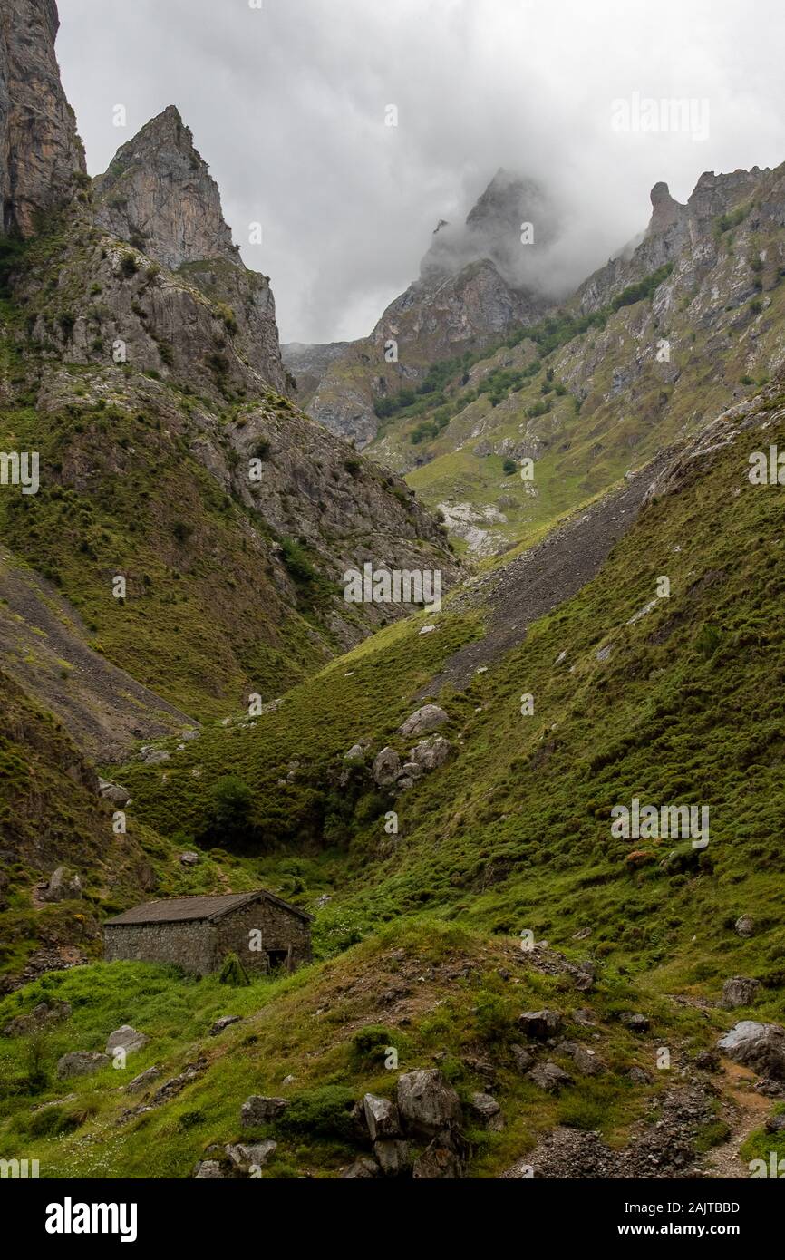 Bergkuppen in einer Wolke am oberen Rand eines steilen Seitentals in der Cares Gorge, Picos de Europa National Park, Spanien Stockfoto