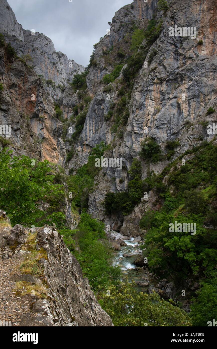 Rio Cares Gorge, Picos de Europa National Park, Spanien Stockfoto