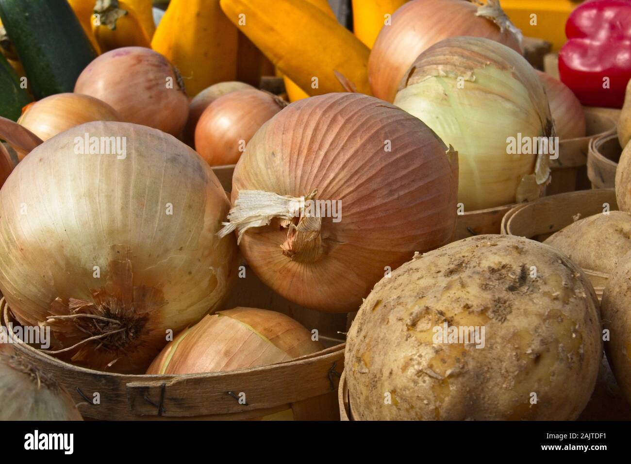 Noch immer leben von Zwiebeln für den Verkauf zu einem Bauernmarkt Stockfoto