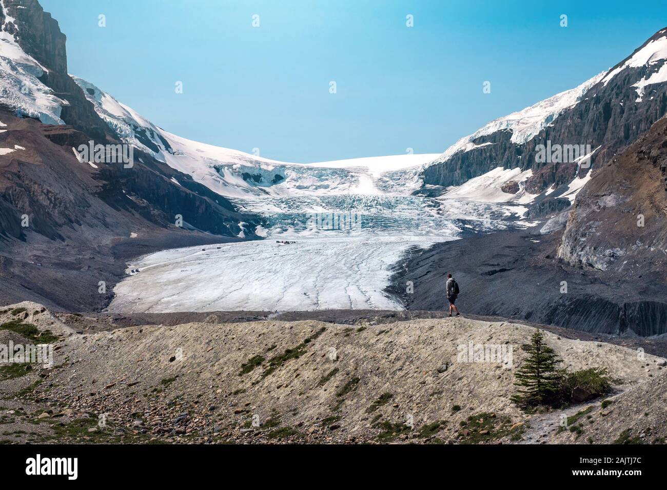 Athabasca Gletscher im Sommer in den Jasper National Park, der Kanadischen Rockies, Alberta, Kanada. Stockfoto