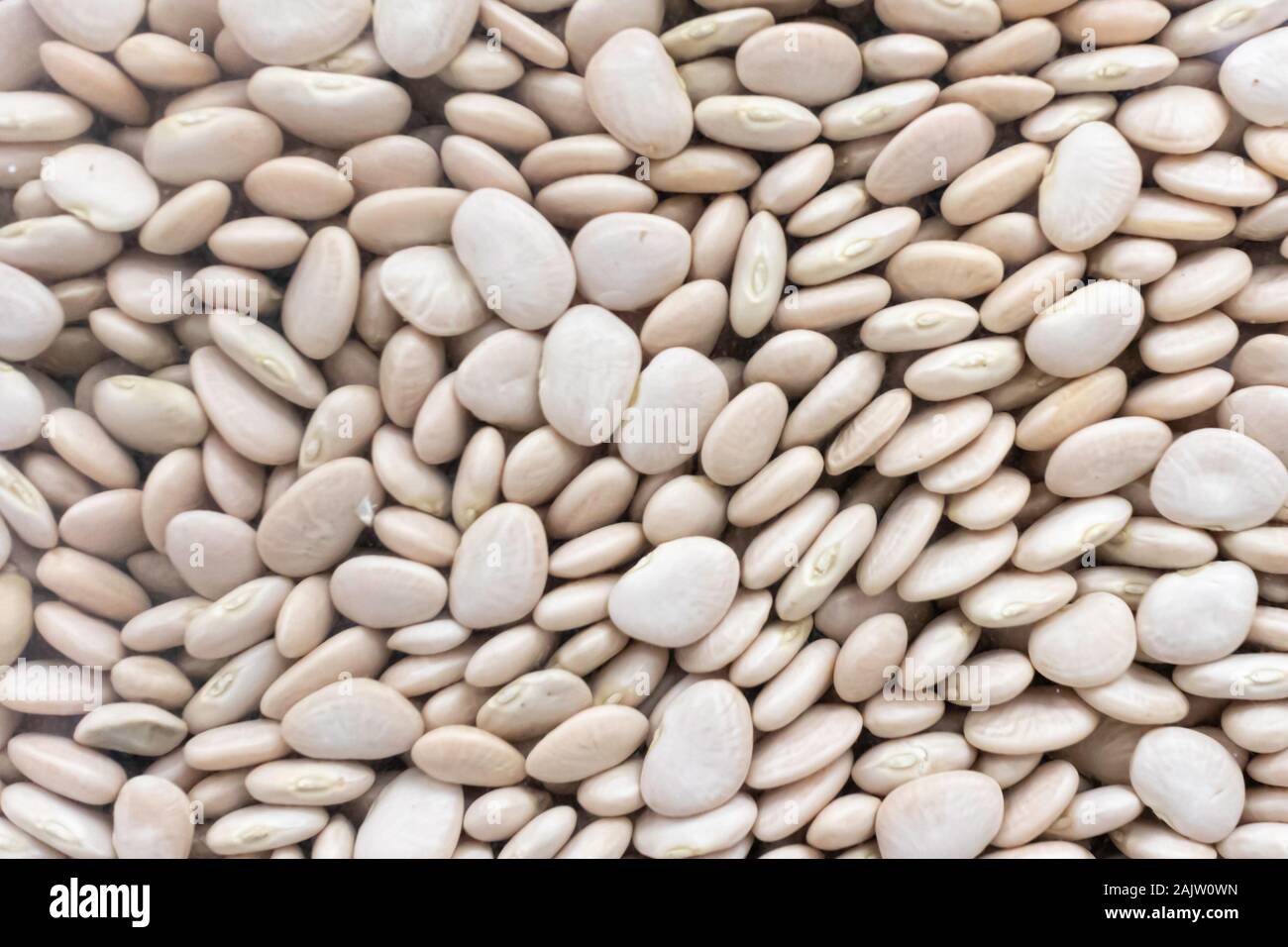 Lima Bohnen in einem Supermarkt Stockfoto