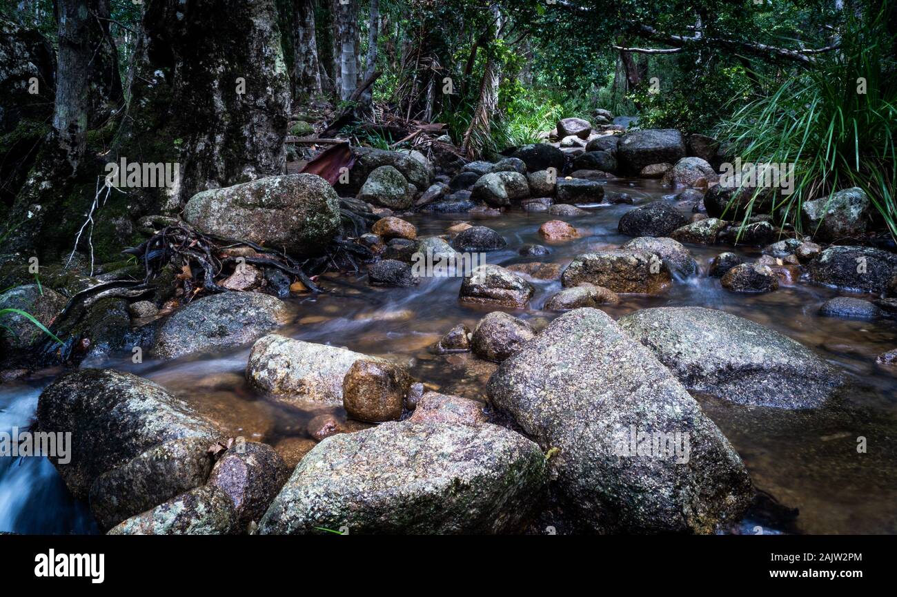 Mothar Mountain, Gympie, QLD Stockfoto