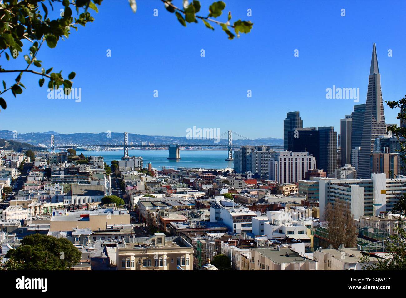 Bay Bridge, Transamerica Pyramid und Chinatown von Russian Hill, San Francisco, Kalifornien Stockfoto