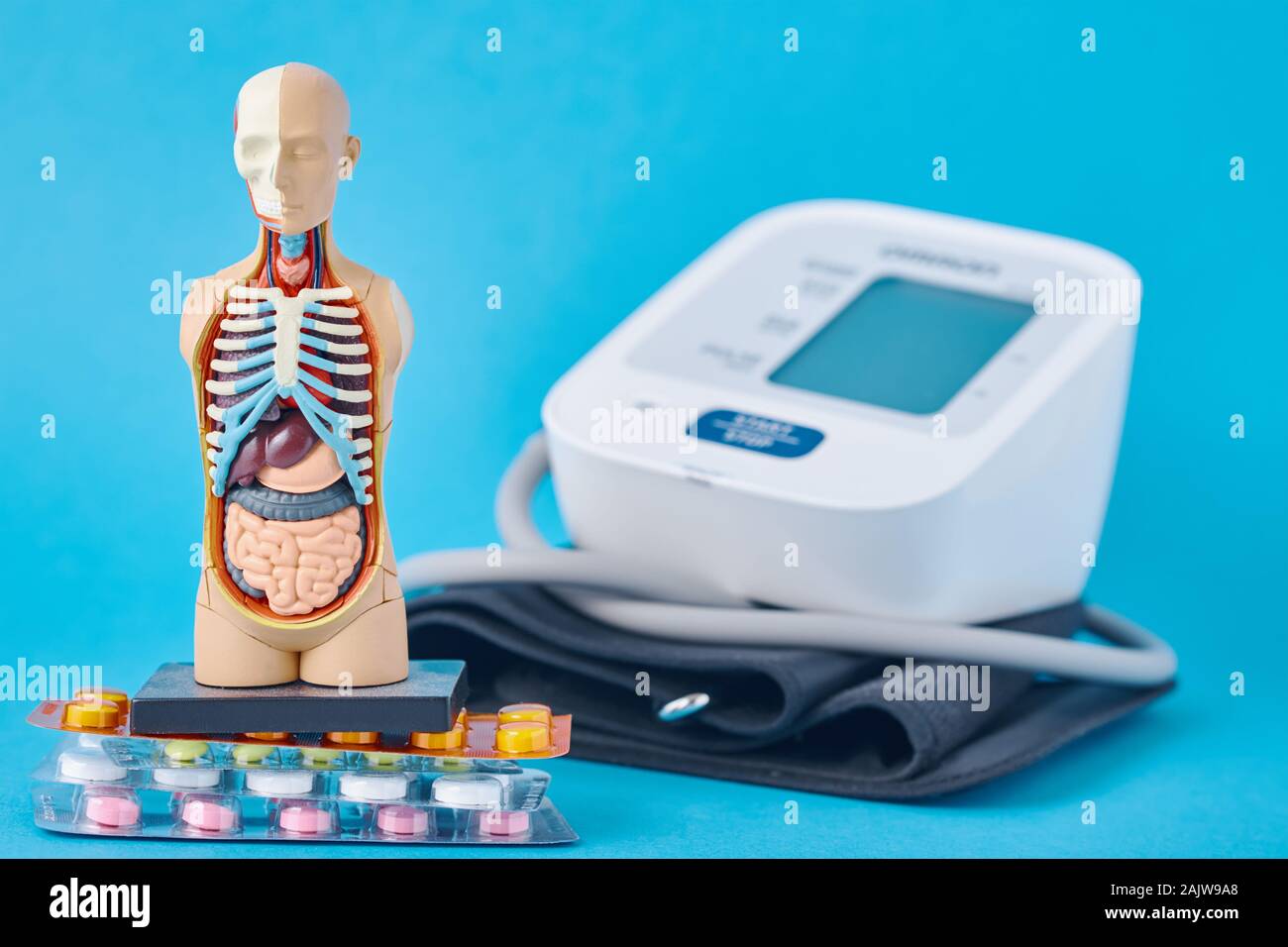 Digitales Blutdruckmessgerät, anatomische dummy Mann Mannequin und medizinische Pillen auf blauem Hintergrund. Gesundheitswesen und Medizin Konzept Stockfoto