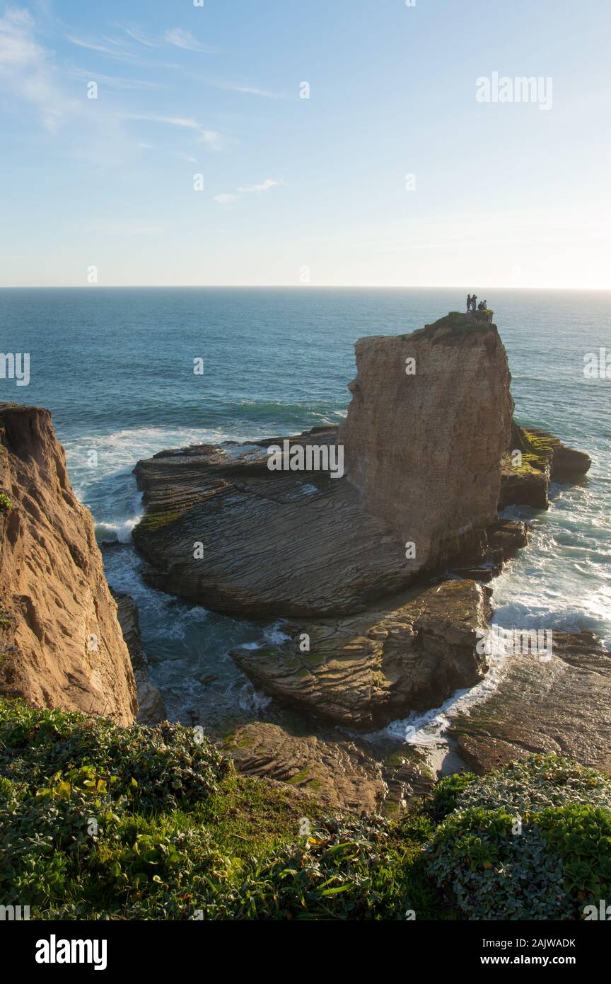 Grüne Küste in den Frühling an der Küste Molkereien State Park, in der Nähe von Santa Cruz, Kalifornien, USA Stockfoto