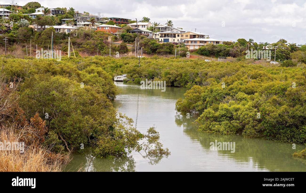 Mangrove Sumpf-ökosystem in einem Nebenfluß den Ozean an der Capricorn Coast von Australien Stockfoto
